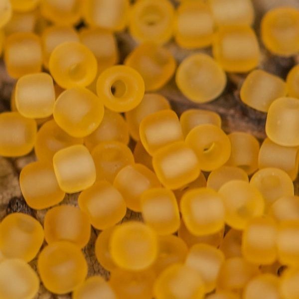 бисер "радуга", цвет 1ma, 12/0 (уп 7 г)