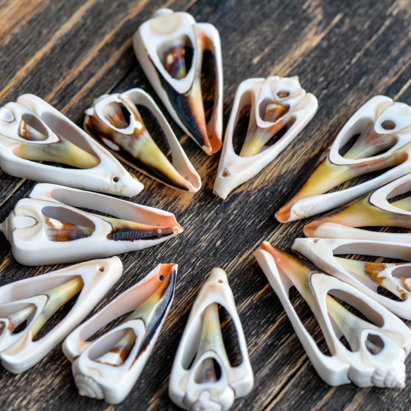 бусина из ракушки, "тригон", цвет персиковый, размерный микс