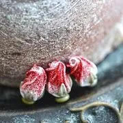 Бусина, Мурано "Розовый бутон", бело-красный, 15-16х10-11 мм