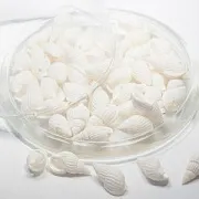 Бусина из ракушки, "Спираль", светлые тона, 10-12x19-25x7-9 мм